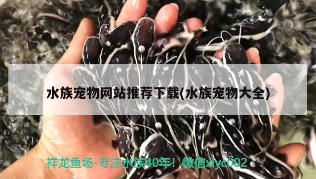 水族宠物网站推荐下载(水族宠物大全)