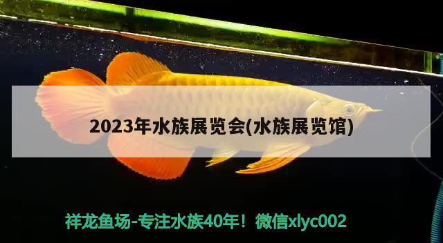 2023年水族展览会(水族展览馆) 水族展会