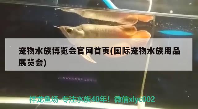 宠物水族博览会官网首页(国际宠物水族用品展览会)