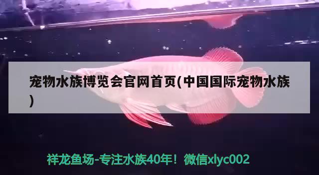 宠物水族博览会官网首页(中国国际宠物水族) 2024第28届中国国际宠物水族展览会CIPS（长城宠物展2024 CIPS）
