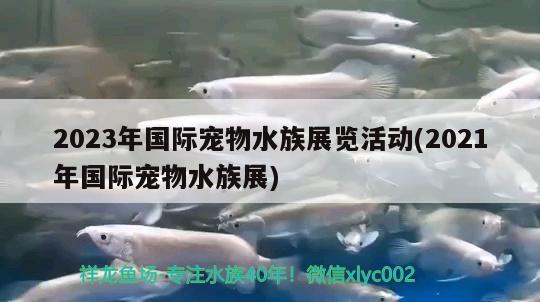 2023年国际宠物水族展览活动(2021年国际宠物水族展)