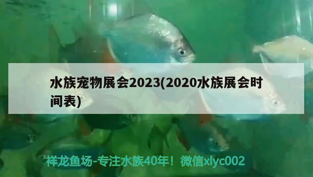 水族宠物展会2023(2020水族展会时间表)