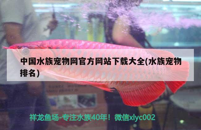 中国水族宠物网官方网站下载大全(水族宠物排名)