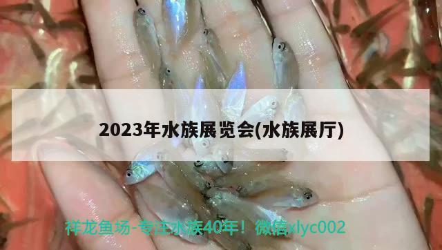 2023年水族展览会(水族展厅)