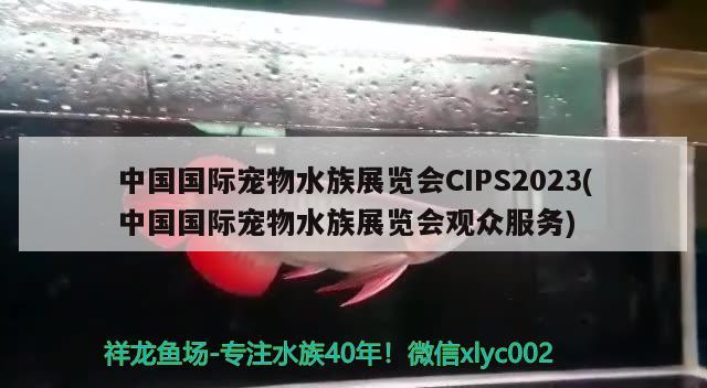 中国国际宠物水族展览会CIPS2023(中国国际宠物水族展览会观众服务)