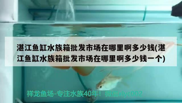 湛江鱼缸水族箱批发市场在哪里啊多少钱(湛江鱼缸水族箱批发市场在哪里啊多少钱一个) 鱼缸/水族箱