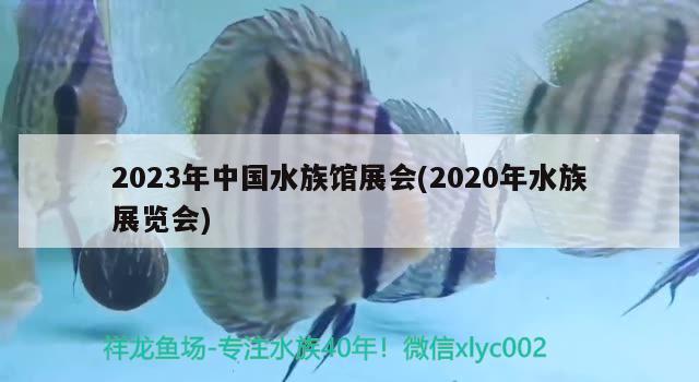 2023年中国水族馆展会(2020年水族展览会)