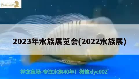 2023年水族展览会(2022水族展)