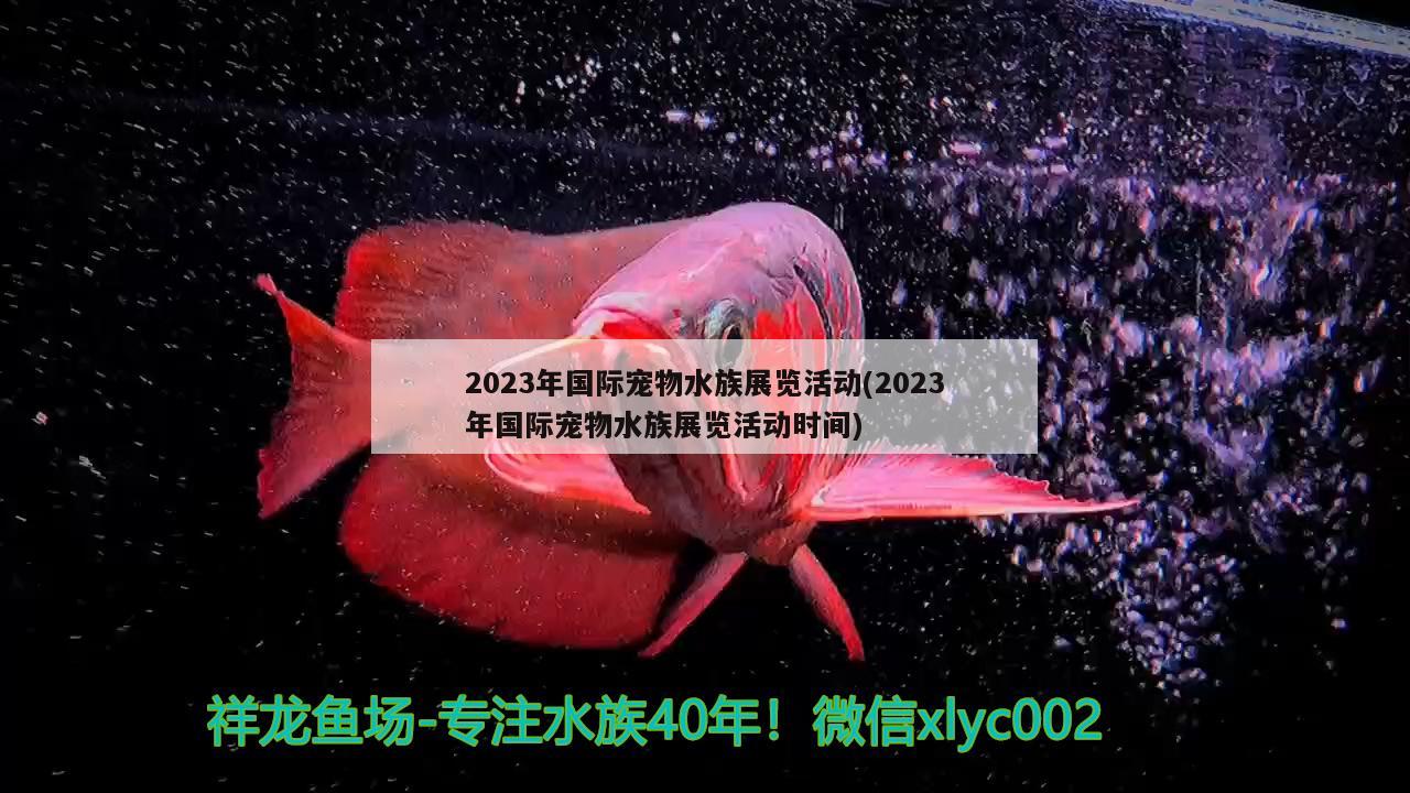 2023年国际宠物水族展览活动(2023年国际宠物水族展览活动时间) 水族展会