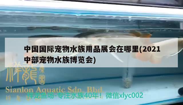 中国国际宠物水族用品展会在哪里(2021中部宠物水族博览会)