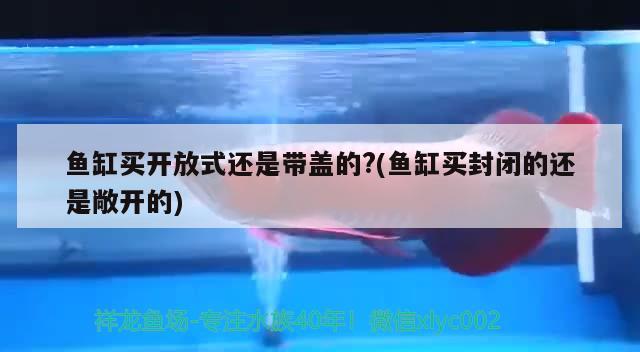 鱼缸买开放式还是带盖的?(鱼缸买封闭的还是敞开的) 福满钻鱼