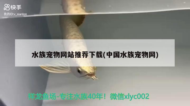 水族宠物网站推荐下载(中国水族宠物网) 2024第28届中国国际宠物水族展览会CIPS（长城宠物展2024 CIPS）
