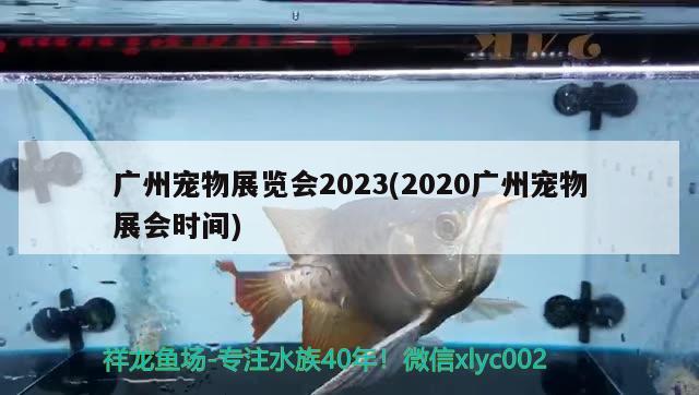 广州宠物展览会2023(2020广州宠物展会时间)