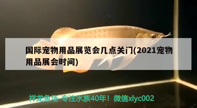 国际宠物用品展览会几点关门(2021宠物用品展会时间)