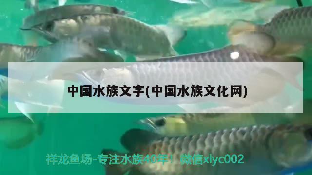 中国水族文字(中国水族文化网)