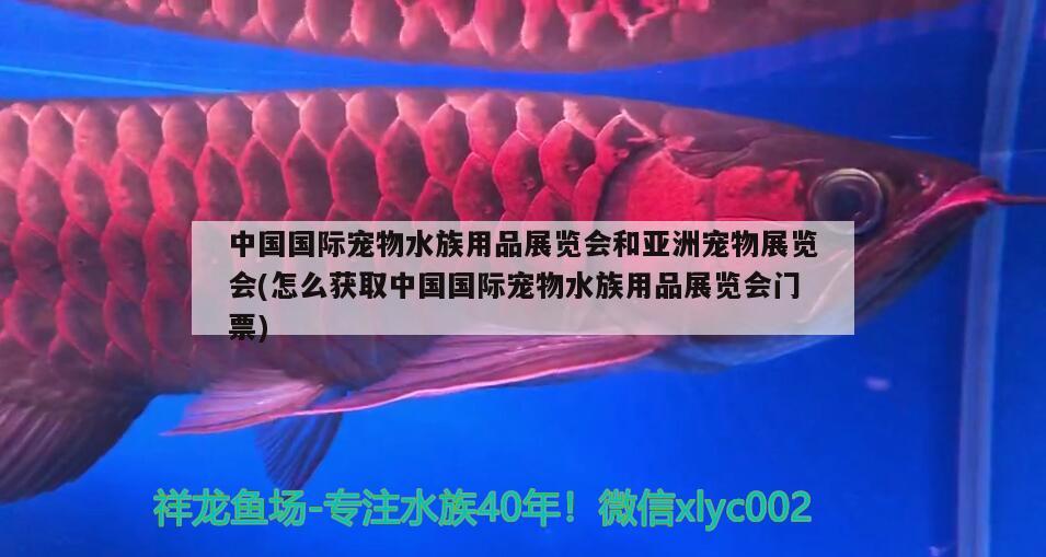 中国国际宠物水族用品展览会和亚洲宠物展览会(怎么获取中国国际宠物水族用品展览会门票) 水族用品