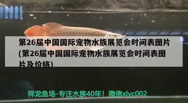 第26届中国国际宠物水族展览会时间表图片(第26届中国国际宠物水族展览会时间表图片及价格) 水族展会