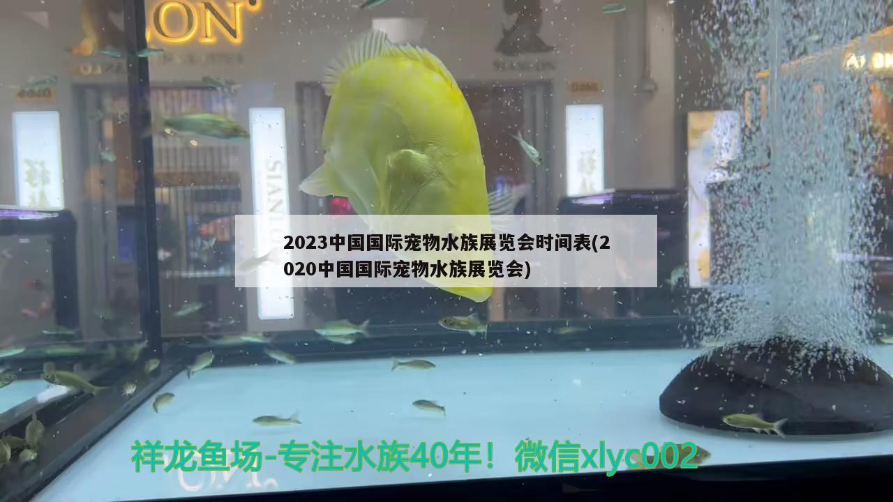 2023中国国际宠物水族展览会时间表(2020中国国际宠物水族展览会)