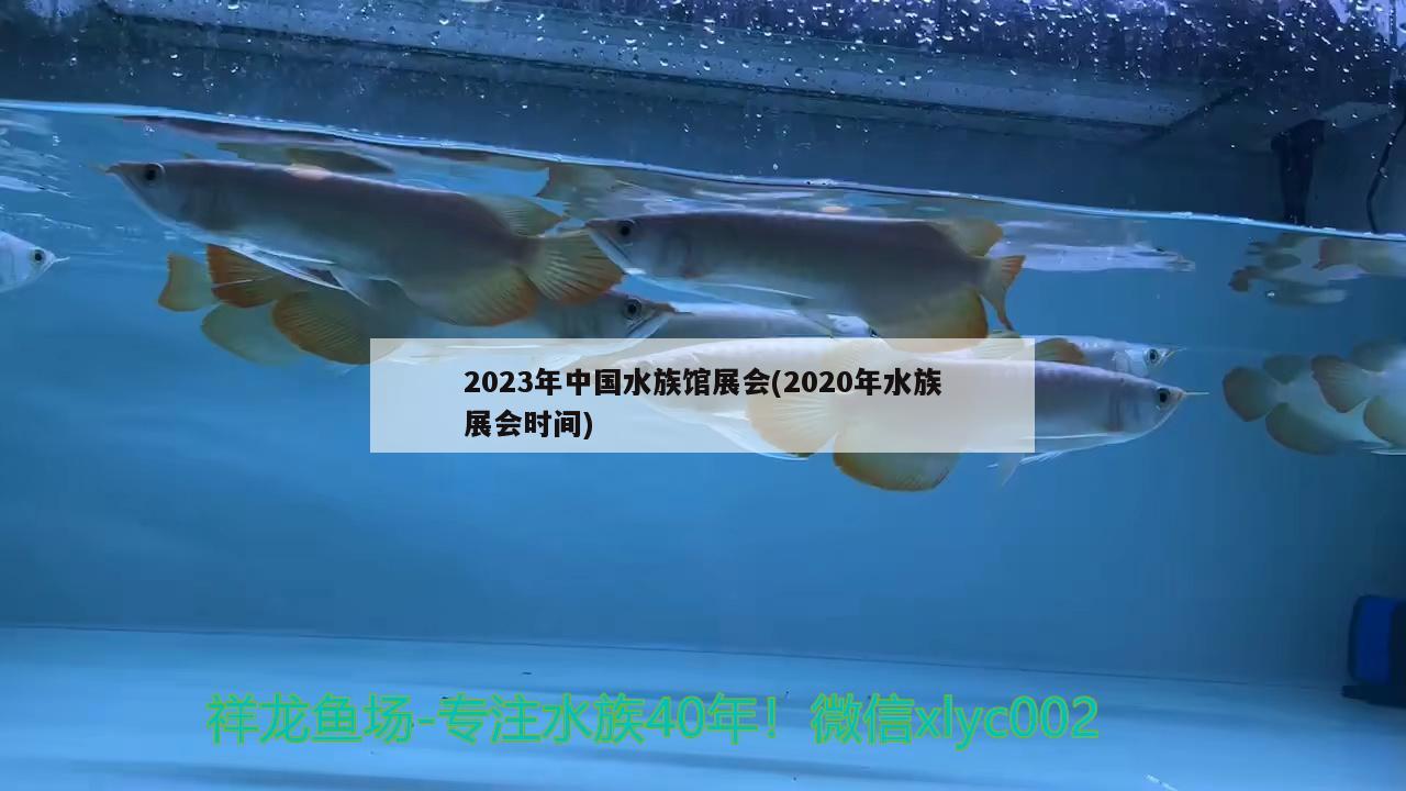 2023年中国水族馆展会(2020年水族展会时间)