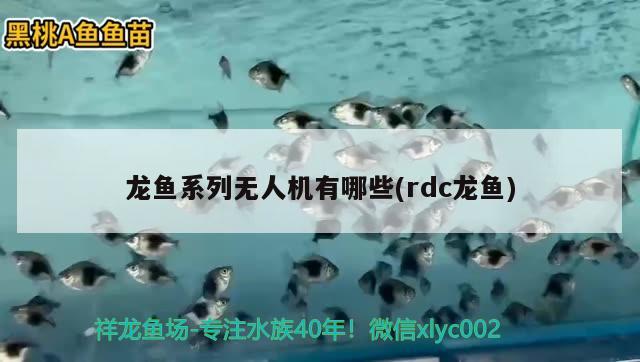 龙鱼系列无人机有哪些(rdc龙鱼) 2024第28届中国国际宠物水族展览会CIPS（长城宠物展2024 CIPS）