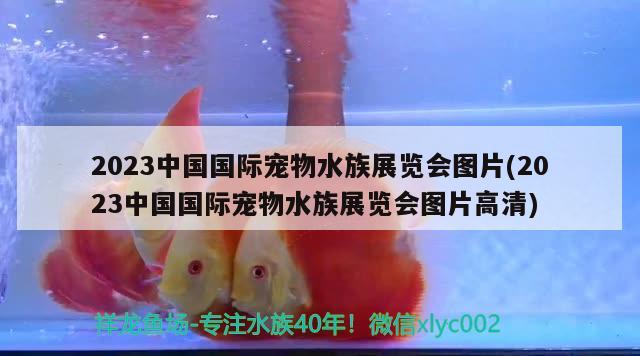 2023中国国际宠物水族展览会图片(2023中国国际宠物水族展览会图片高清)