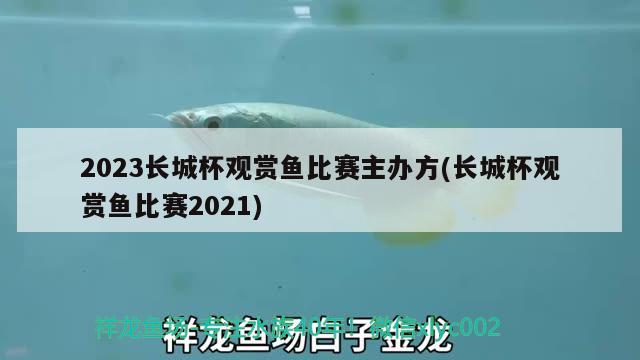 2023长城杯观赏鱼比赛主办方(长城杯观赏鱼比赛2021)