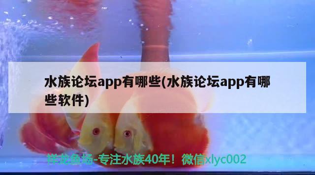 水族论坛app有哪些(水族论坛app有哪些软件)