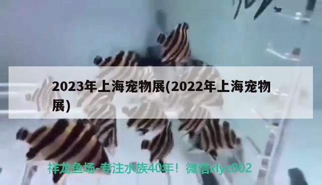 2023年上海宠物展(2022年上海宠物展)