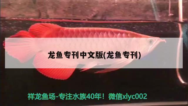 龙鱼专刊中文版(龙鱼专刊) 2024第28届中国国际宠物水族展览会CIPS（长城宠物展2024 CIPS）