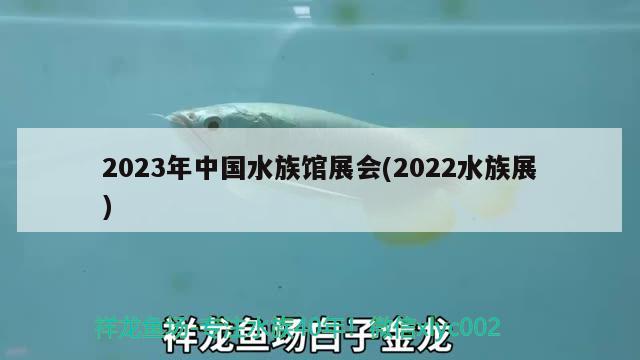 2023年中国水族馆展会(2022水族展)