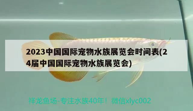 2023中国国际宠物水族展览会时间表(24届中国国际宠物水族展览会)