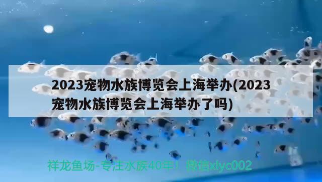 2023宠物水族博览会上海举办(2023宠物水族博览会上海举办了吗)