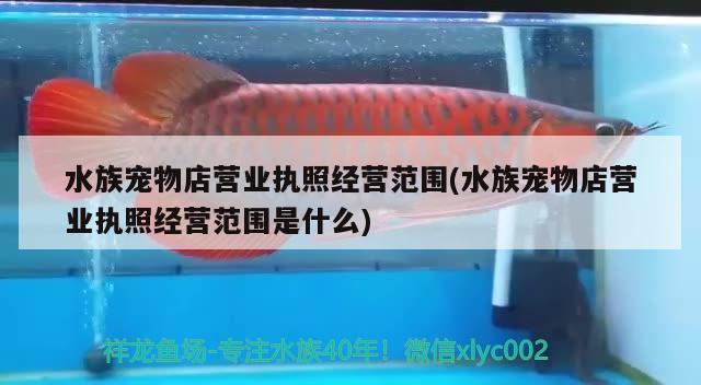 水族宠物店营业执照经营范围(水族宠物店营业执照经营范围是什么) 2024第28届中国国际宠物水族展览会CIPS（长城宠物展2024 CIPS）