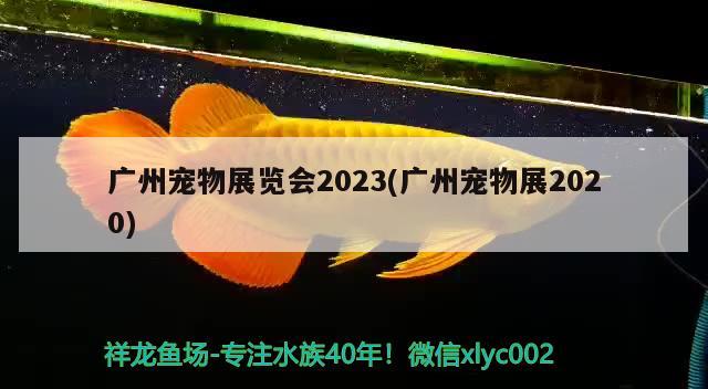 广州宠物展览会2023(广州宠物展2020)