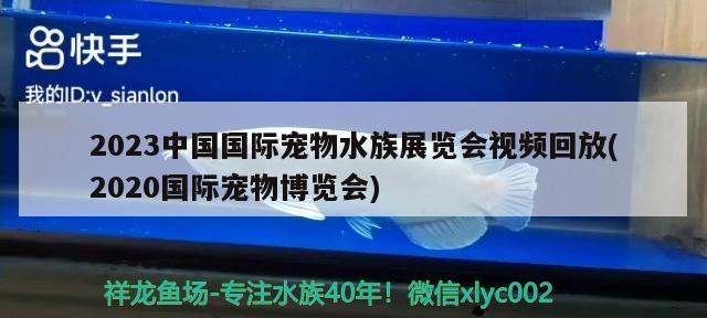 2023中国国际宠物水族展览会视频回放(2020国际宠物博览会) 水族展会