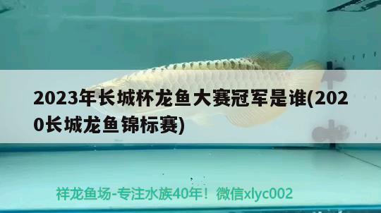 2023年长城杯龙鱼大赛冠军是谁(2020长城龙鱼锦标赛) 2024第28届中国国际宠物水族展览会CIPS（长城宠物展2024 CIPS）