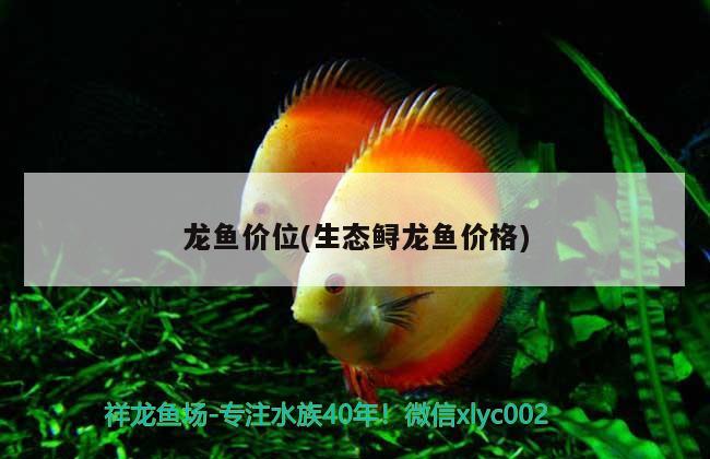 龙鱼价位(生态鲟龙鱼价格) 2024第28届中国国际宠物水族展览会CIPS（长城宠物展2024 CIPS）
