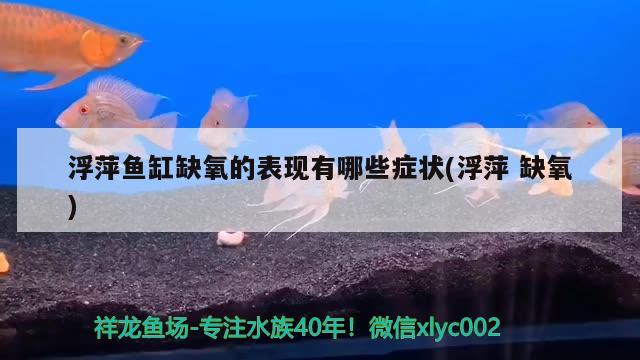 浮萍鱼缸缺氧的表现有哪些症状(浮萍缺氧)