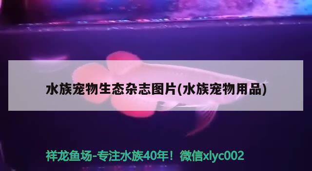 水族宠物生态杂志图片(水族宠物用品) 2024第28届中国国际宠物水族展览会CIPS（长城宠物展2024 CIPS）