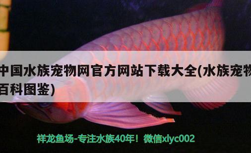 中国水族宠物网官方网站下载大全(水族宠物百科图鉴)