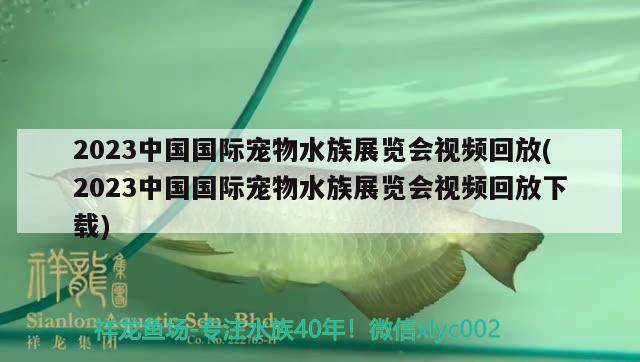 2023中国国际宠物水族展览会视频回放(2023中国国际宠物水族展览会视频回放下载)