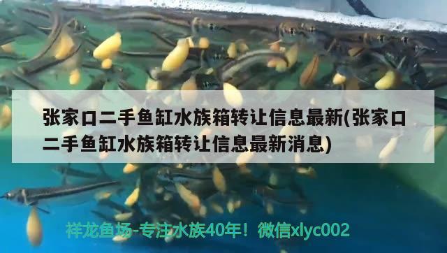 张家口二手鱼缸水族箱转让信息最新(张家口二手鱼缸水族箱转让信息最新消息) 鱼缸/水族箱