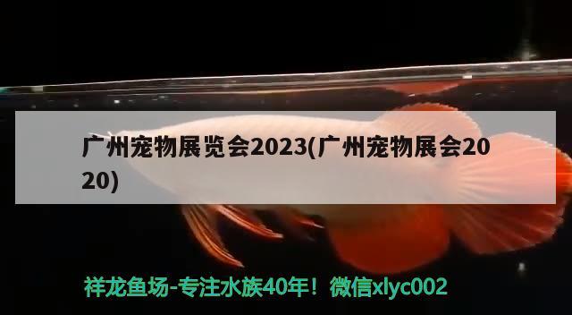 广州宠物展览会2023(广州宠物展会2020)