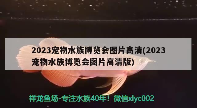 2023宠物水族博览会图片高清(2023宠物水族博览会图片高清版)