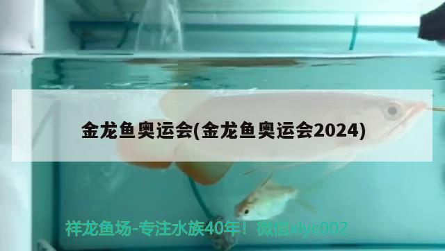 金龙鱼奥运会(金龙鱼奥运会2024) 2024第28届中国国际宠物水族展览会CIPS（长城宠物展2024 CIPS）