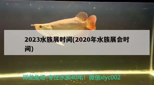 2023水族展时间(2020年水族展会时间) 水族展会