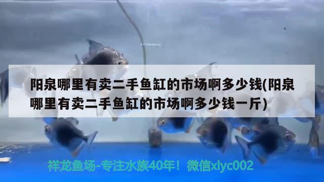 阳泉哪里有卖二手鱼缸的市场啊多少钱(阳泉哪里有卖二手鱼缸的市场啊多少钱一斤) 广州水族批发市场