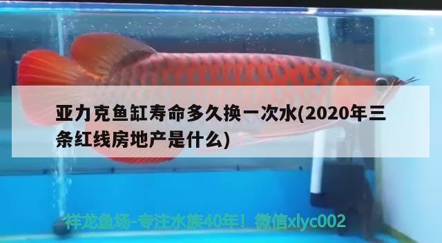 亚力克鱼缸寿命多久换一次水(2020年三条红线房地产是什么) 鱼缸净水剂