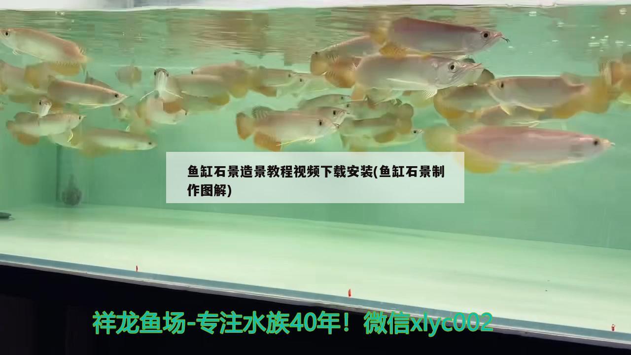 鱼缸石景造景教程视频下载安装(鱼缸石景制作图解)