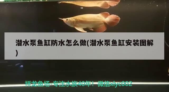 潜水泵鱼缸防水怎么做(潜水泵鱼缸安装图解)